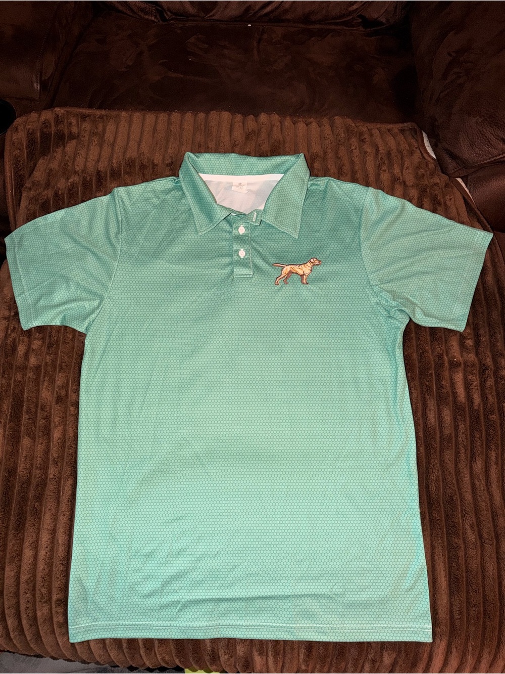 Men's Mint Green Short-Sleeve Polo Button-Down Shirt with Embroidered Dog